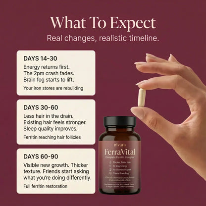 FerraVital Ferritin Support