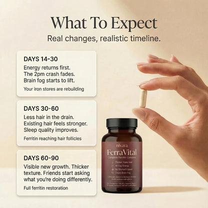 FerraVital Ferritin Support